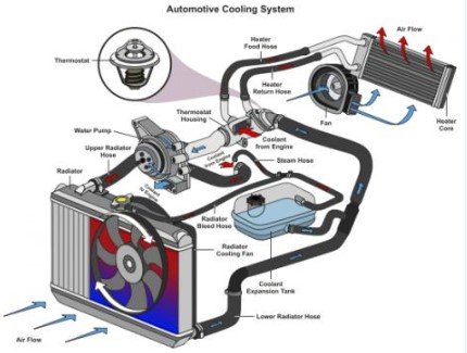 Cooling System Vw 2.0 Engine Parts Diagram