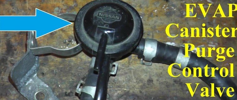 Purge Control Valve Circuit